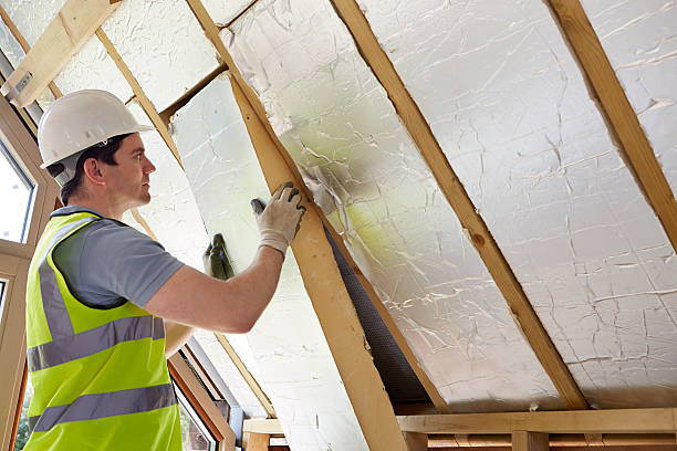 Best Residential Insulation in Seminole, FL