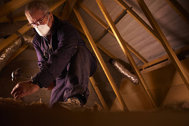 Best Specialty Insulation in Seminole, FL
